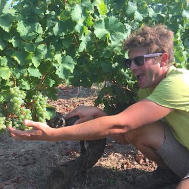 Benjamin delobel vigneron vin bio sauvignon touraine meilleur sauvignon du monde 2019